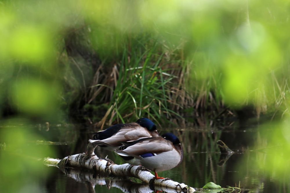 Photograph by Sergey Key