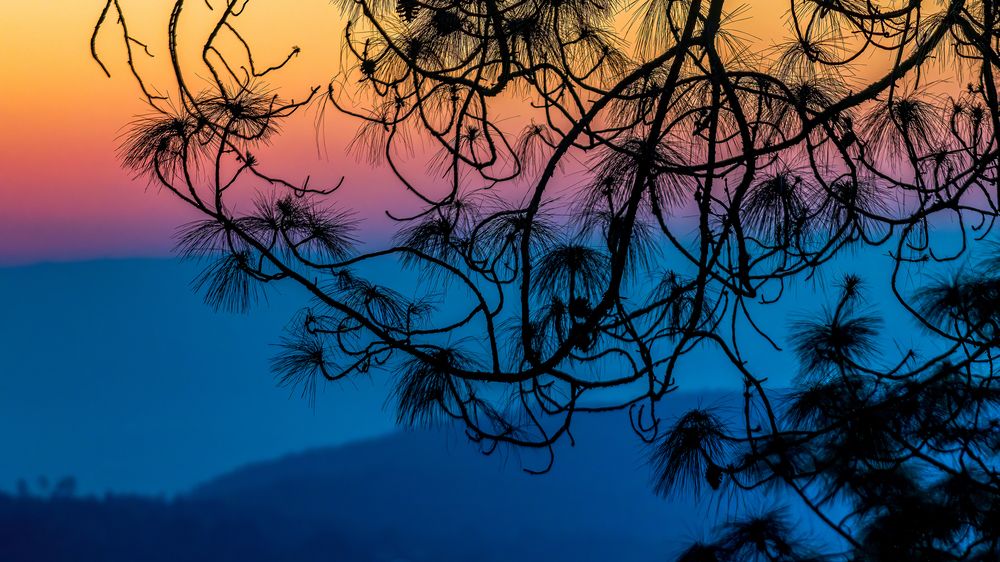 Photograph by Ashit Gandhi