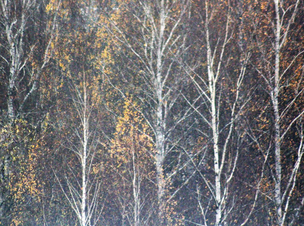 Photograph by Анна Ландграфская