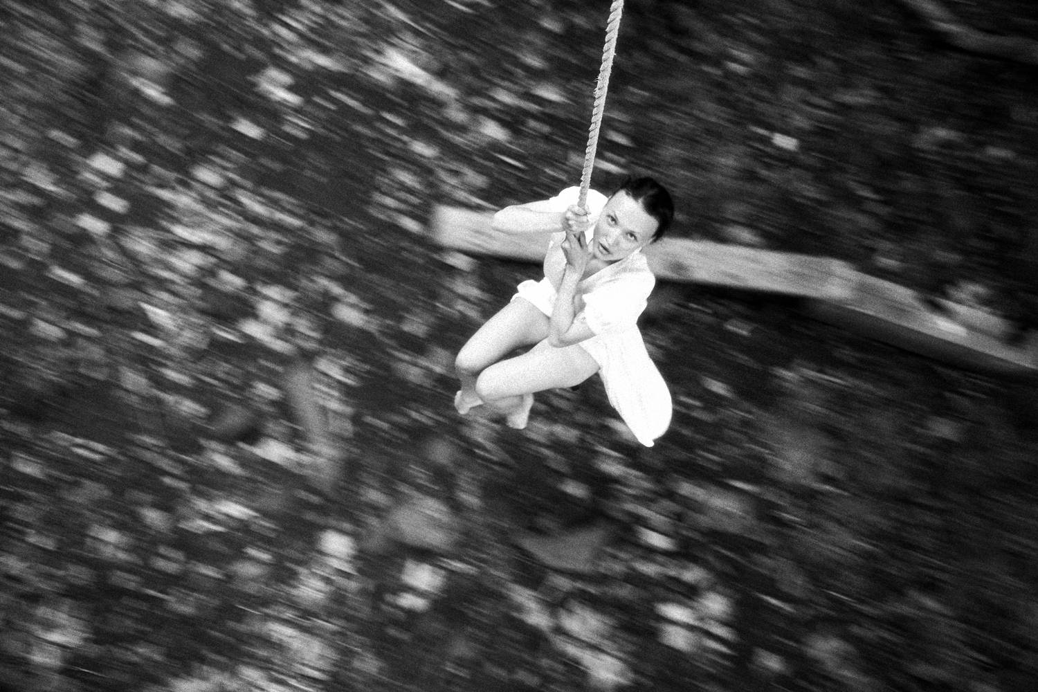 Photo #12338938