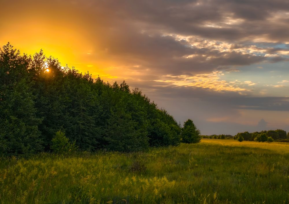 Photograph by Vladimir Frolov (1stMOD)