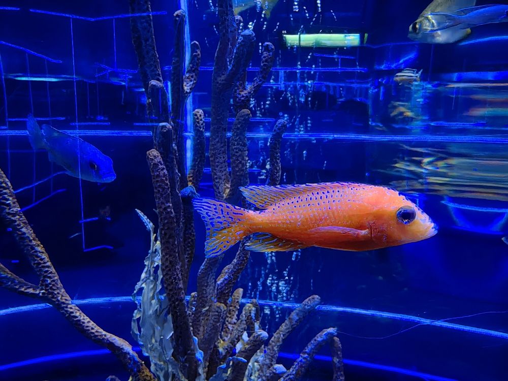 Photograph by Козлова Галина