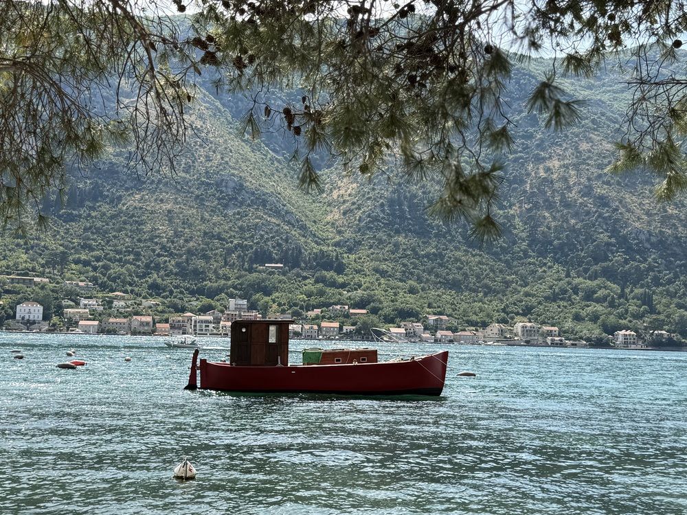 Photograph by Валентина Спиридонова