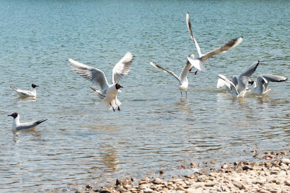 Фотография автора Пешков Егор