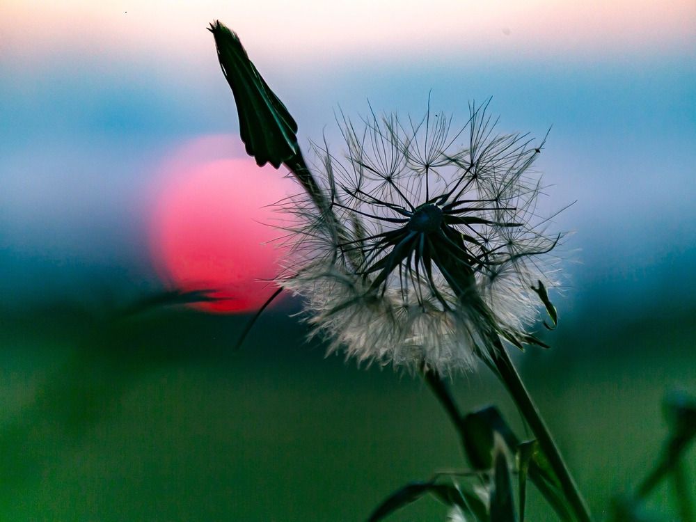 Фотография автора Елена Чиликина