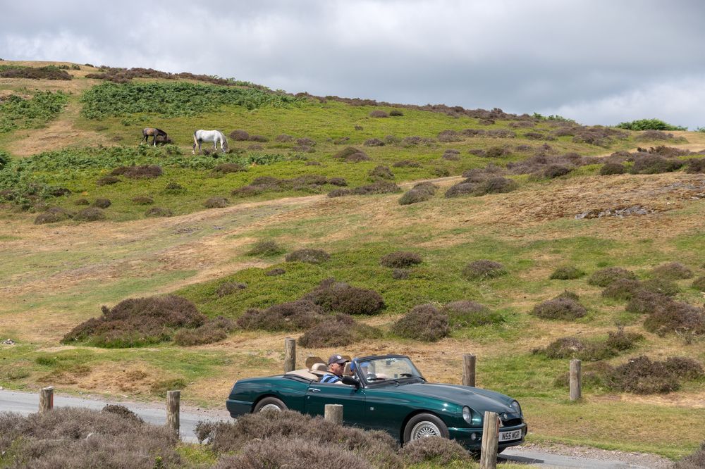 Фотография автора Alexander Pakhomov