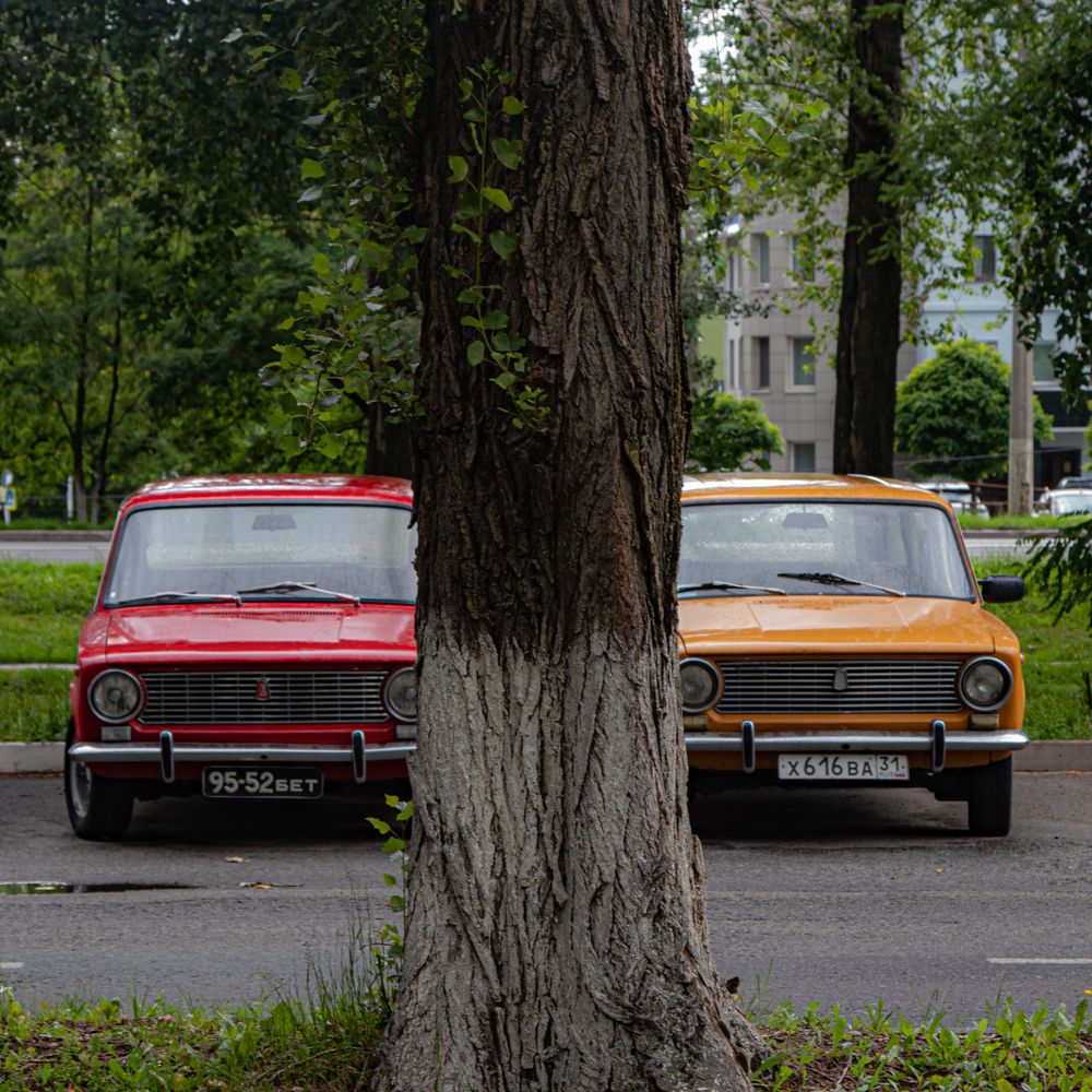 Photograph by Дмитрий Давидов