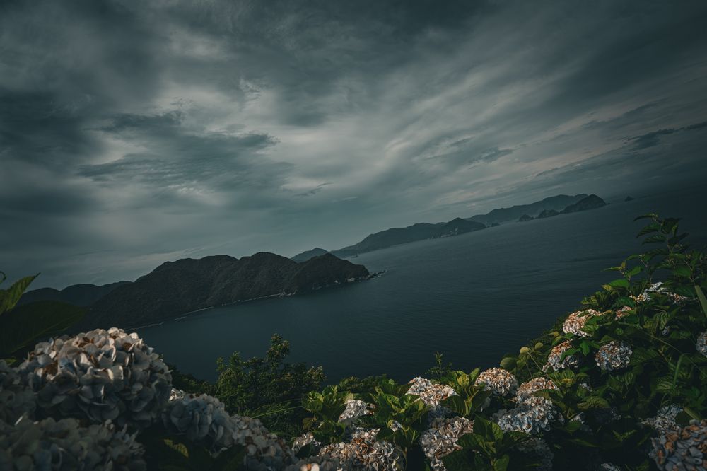 Photograph by ryuichi