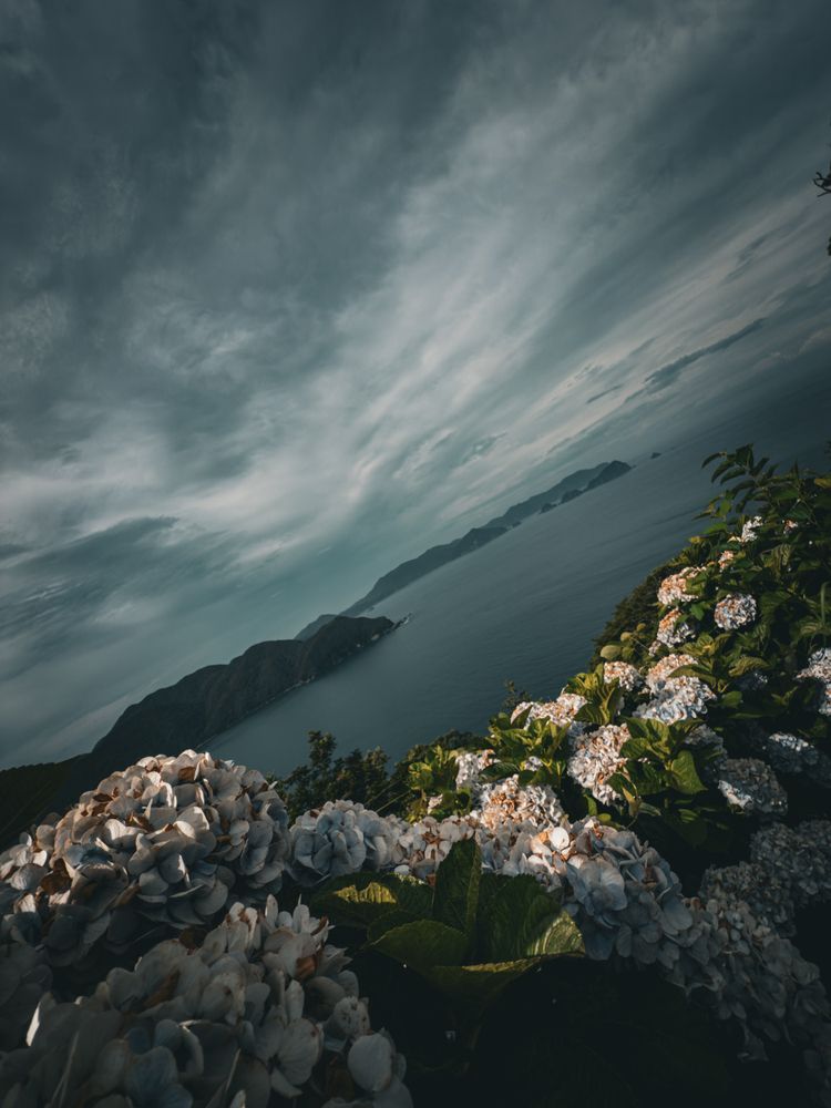 Photograph by ryuichi