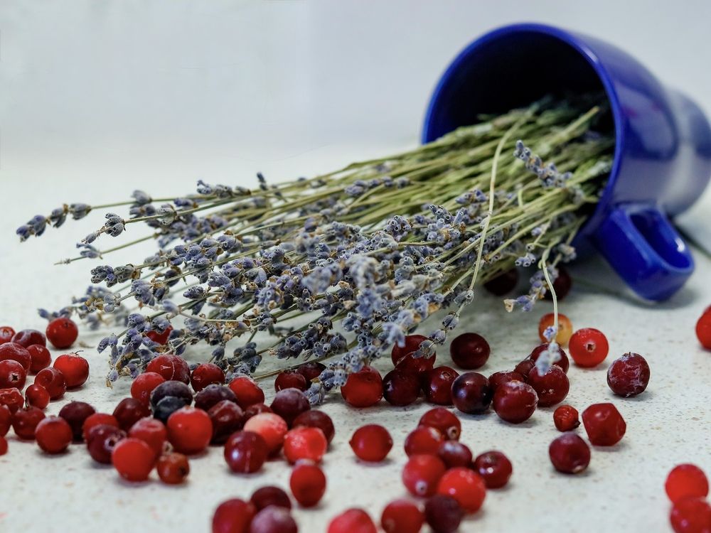 Photograph by Ekaterina Slepneva