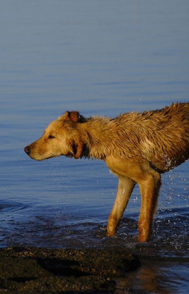 Photograph by Вадим Зрюев