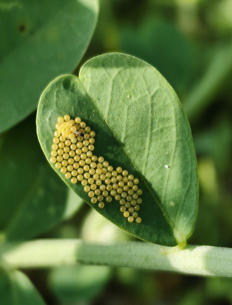 Photograph by Кристина Феминова