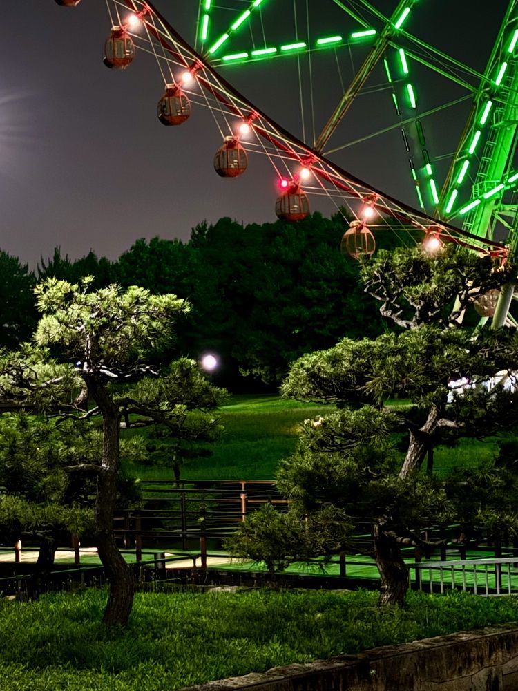 Photograph by Nagasaki Marina