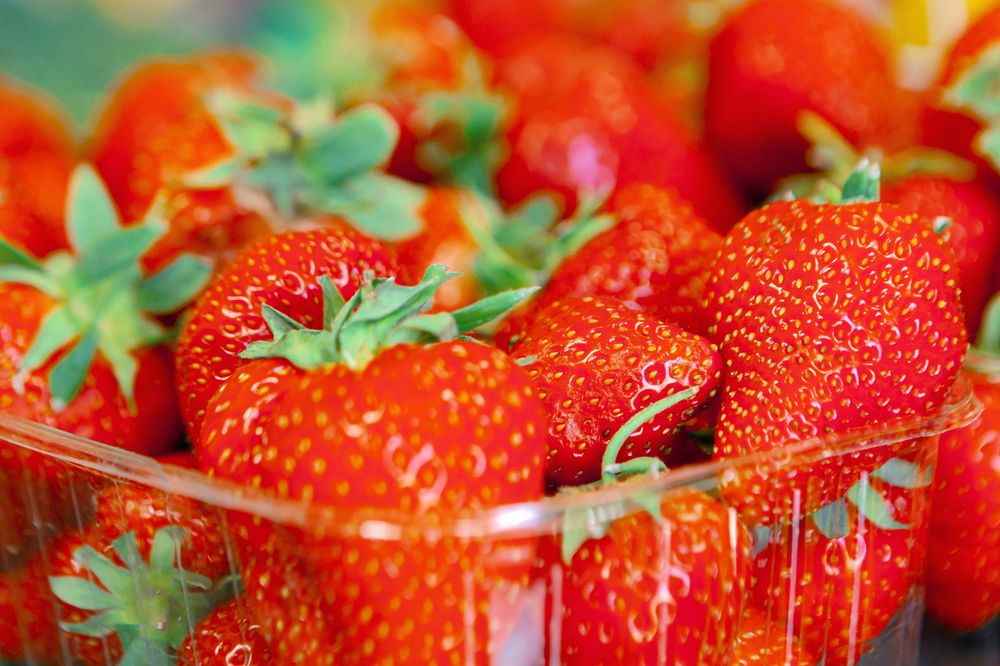 Photograph by Elena Dementova