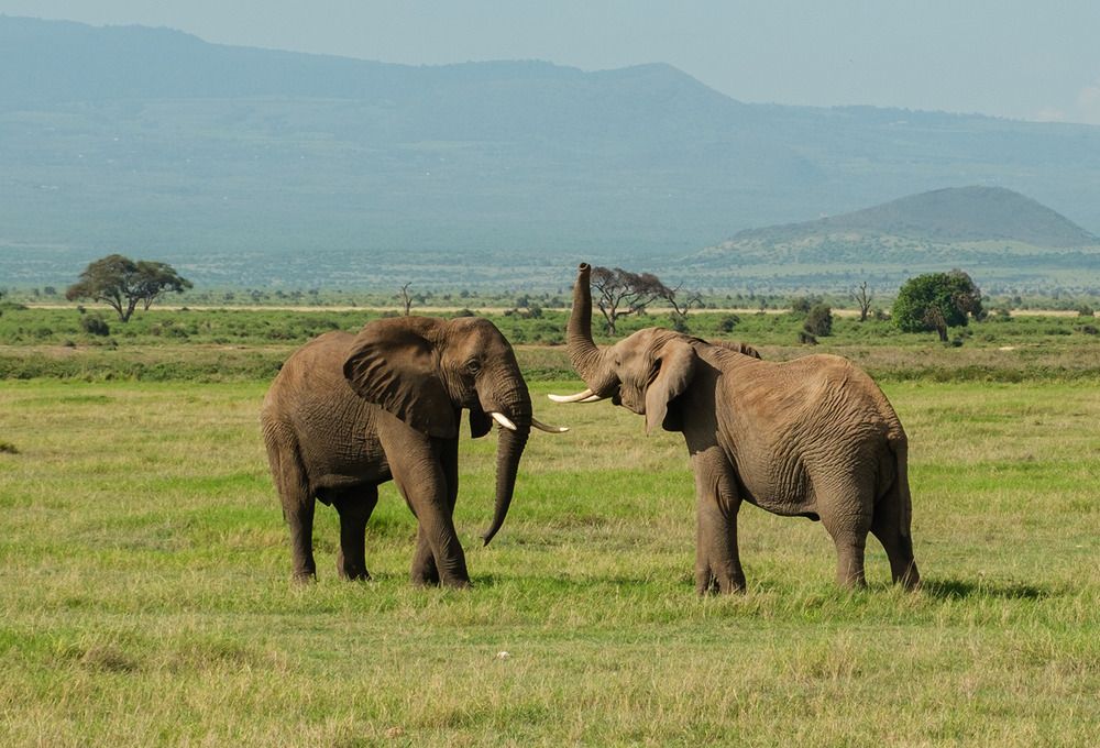 Фотография автора Наталья Липовская