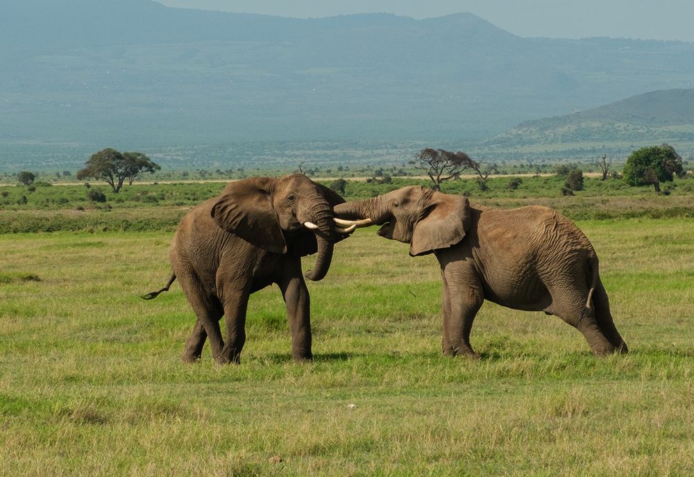 Фотография автора Наталья Липовская