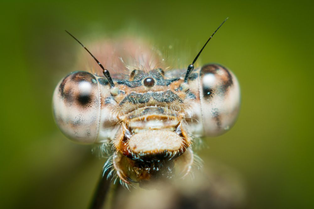 Photograph by Максим Юрлов