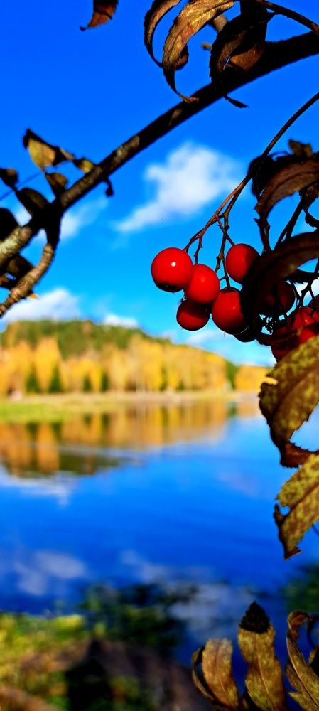 Photograph by Галина Перепечаева