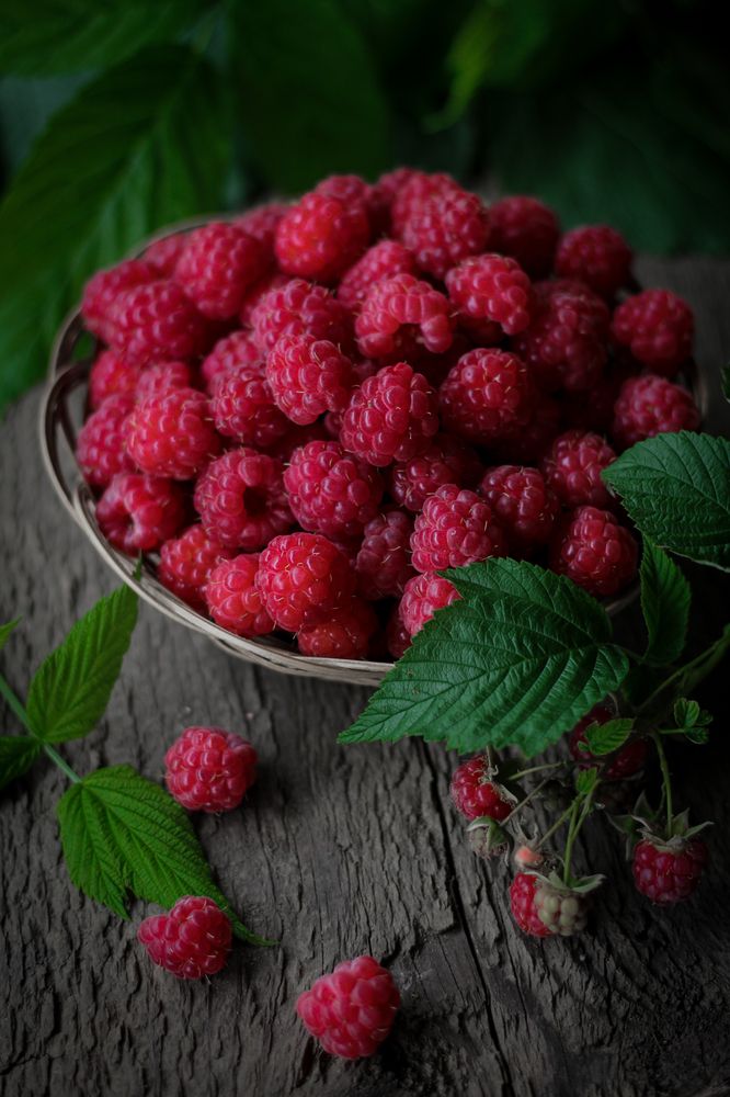 Photograph by Анна Зайченко