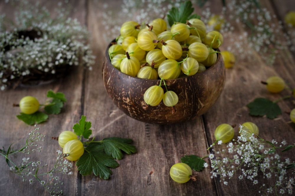 Photograph by Анна Зайченко