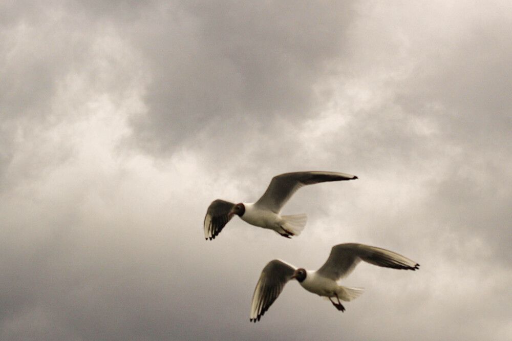 Photograph by Наталия Козлова