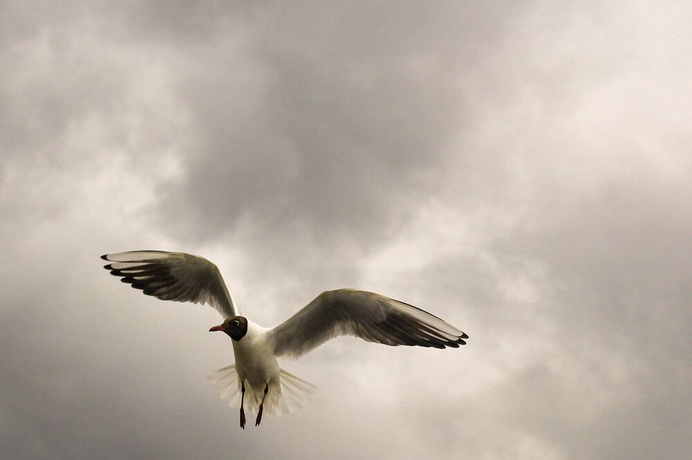 Photograph by Наталия Козлова