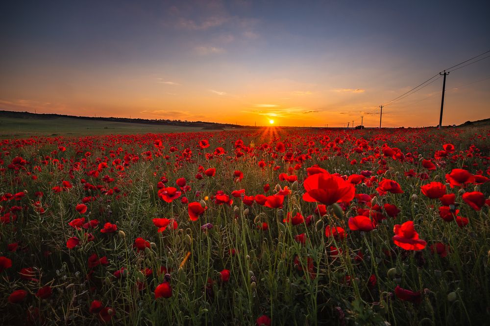 Photograph by Филипп Бабенко