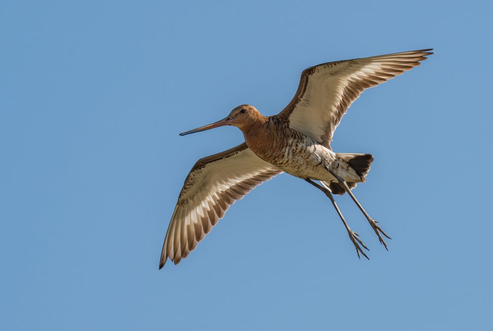 Photograph by Альварис Сукманюк