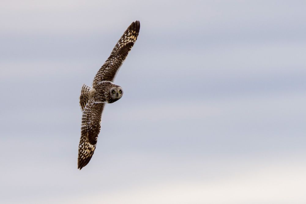 Фотография автора Viktoriya Kim