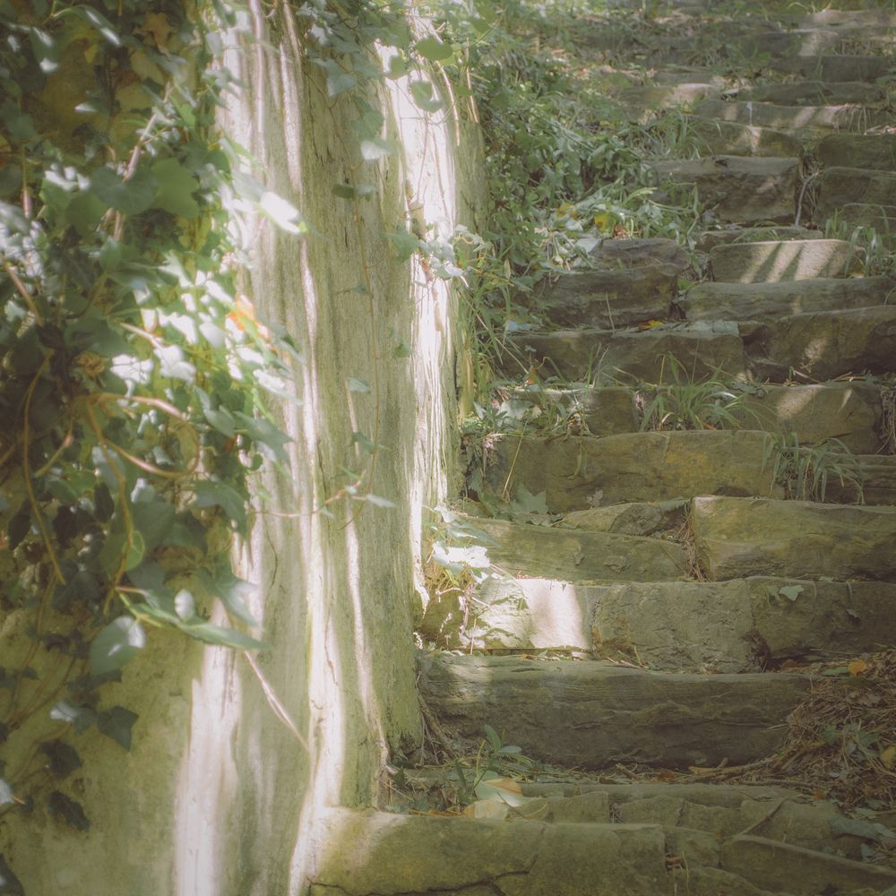 Photograph by Alexey Rodionov