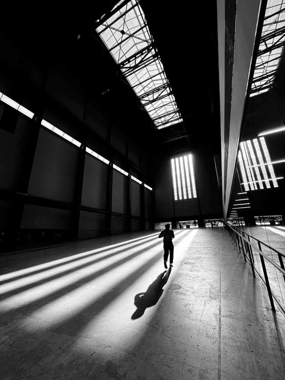 Toward the Light Toward the Light