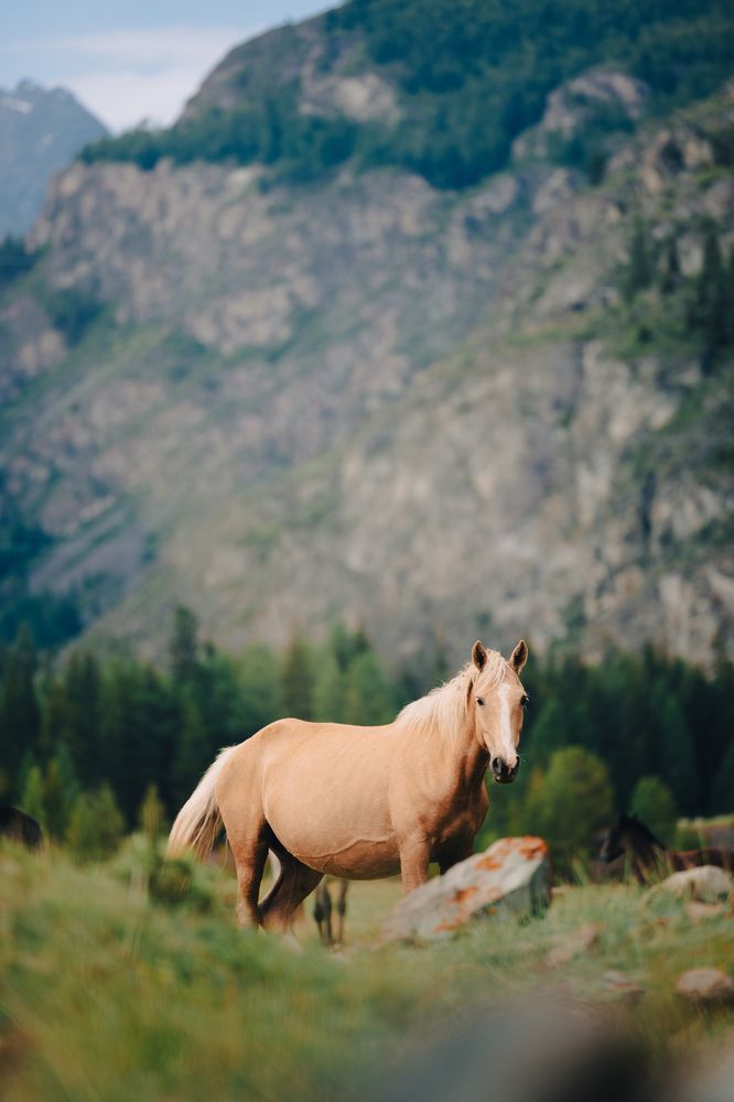 Фотография автора Дмитрий Рындин