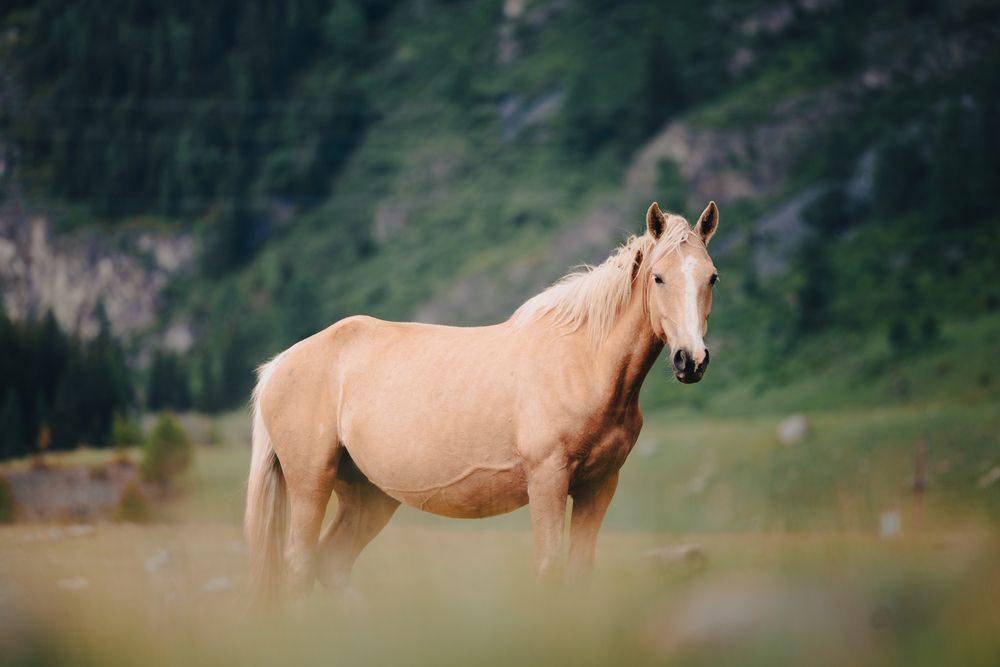 Фотография автора Дмитрий Рындин