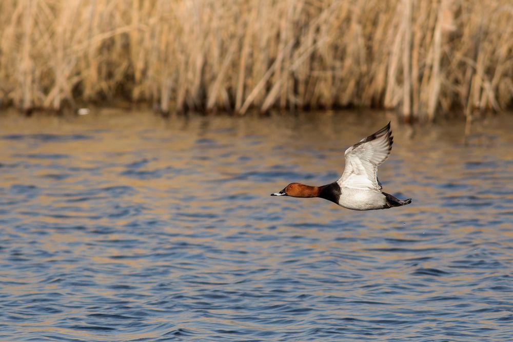 Photograph by Сосновских Вячеслав