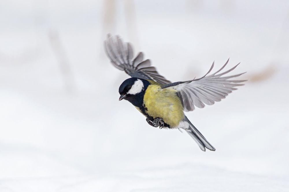 Photograph by Сосновских Вячеслав