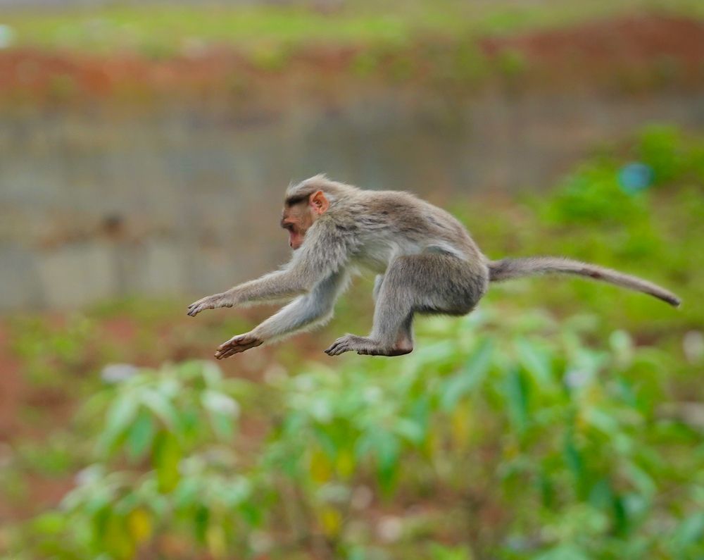 Photograph by SARAVANA MANICKAM