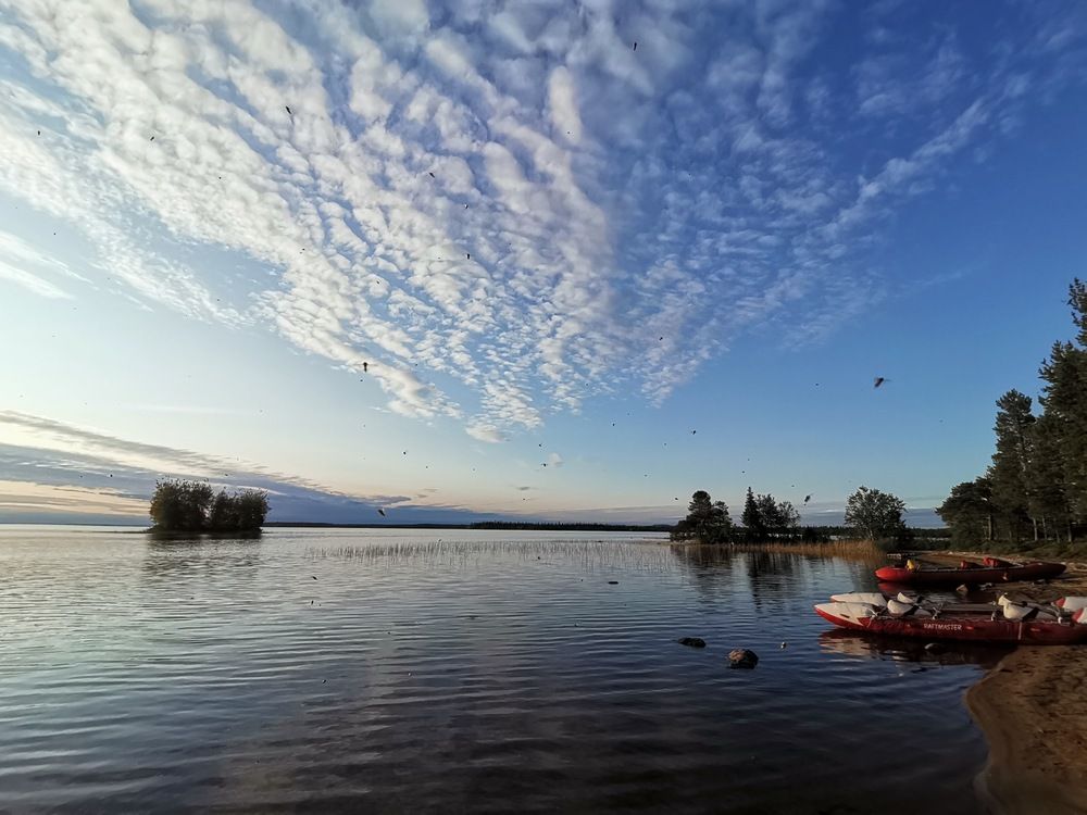 Photograph by Ирина Садовникова