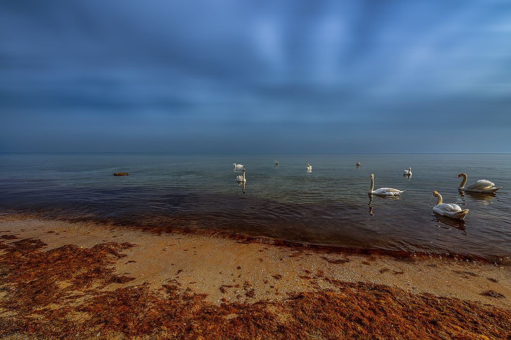 Photograph by Владимир Гамаюнов