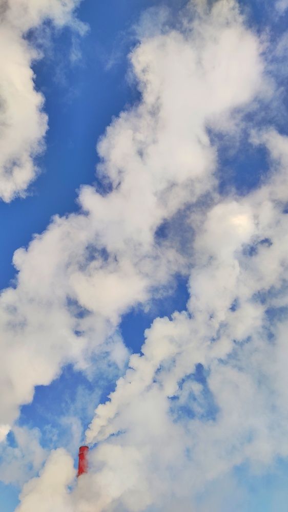 Photograph by Калюнова Наталья