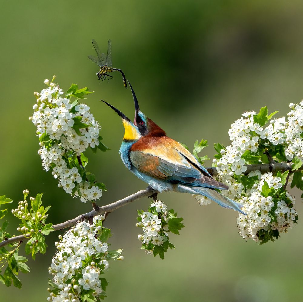 Photograph by Олег Есиков