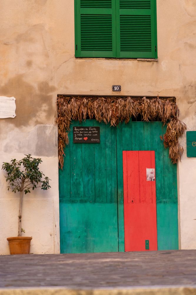 Photograph by esti lahat