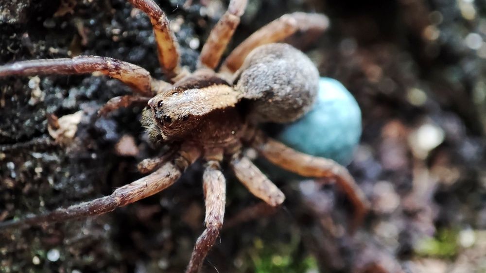 Photograph by Калюнова Наталья