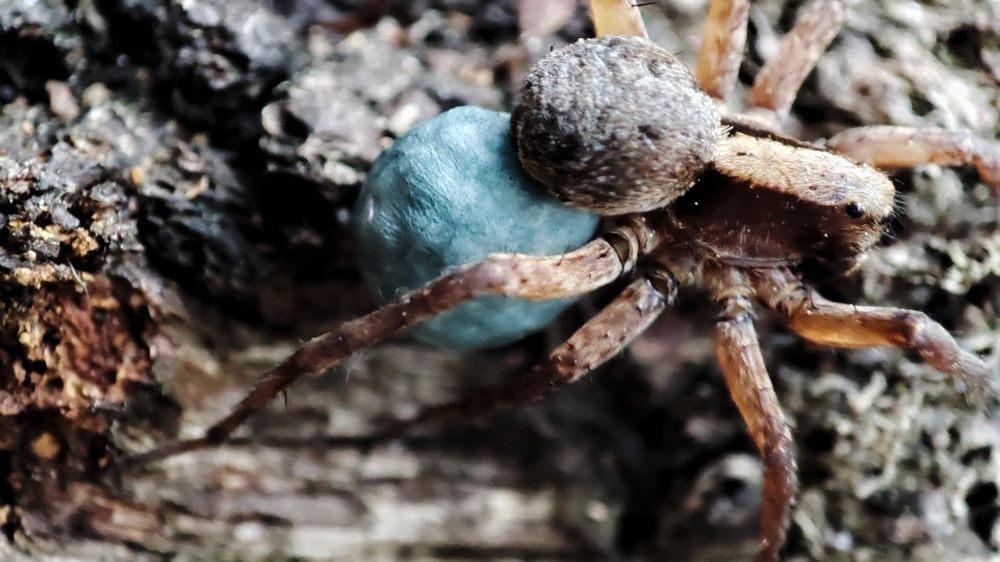 Photograph by Калюнова Наталья