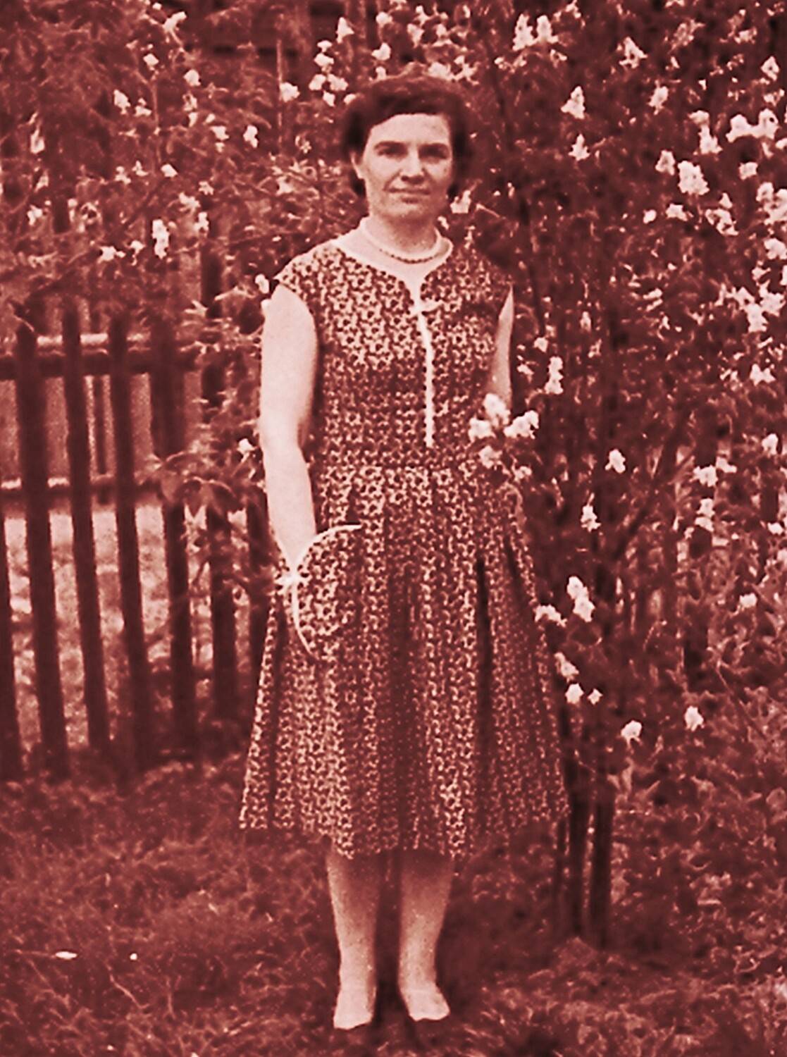 Photo #12340216