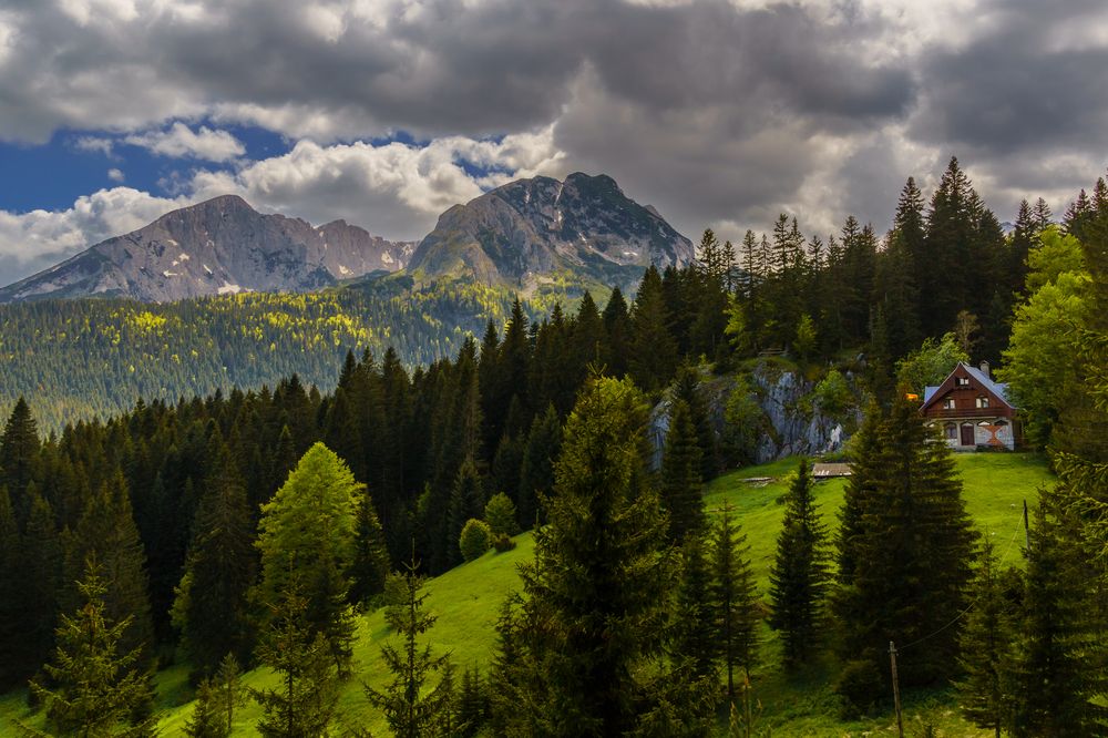 Photograph by Valdis Serzhans