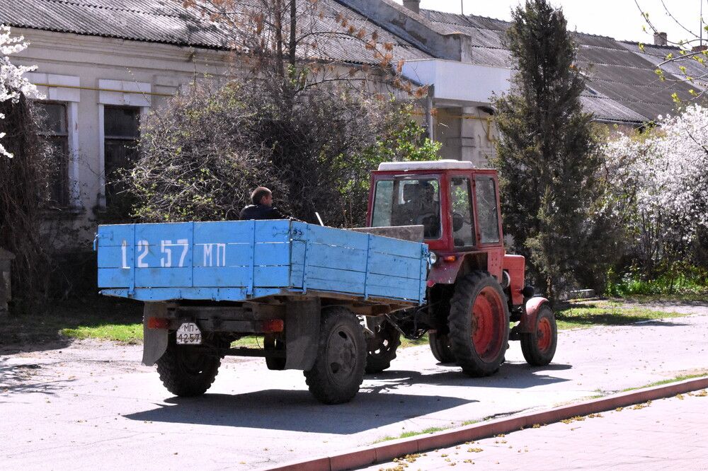 Фотография автора Светлана Чехлань