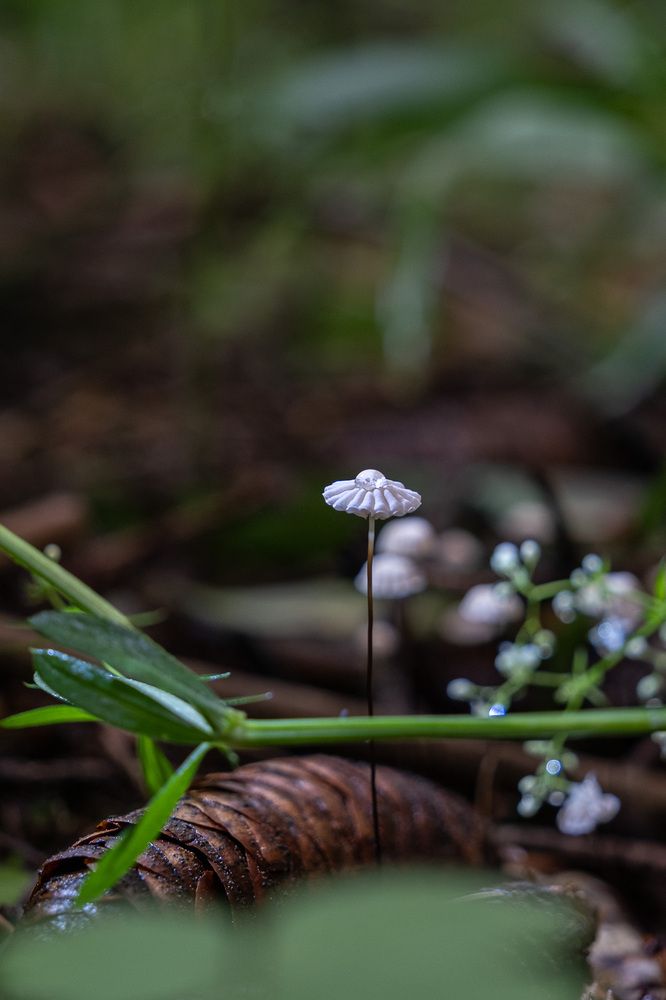 Photograph by Светлана Ощепкова