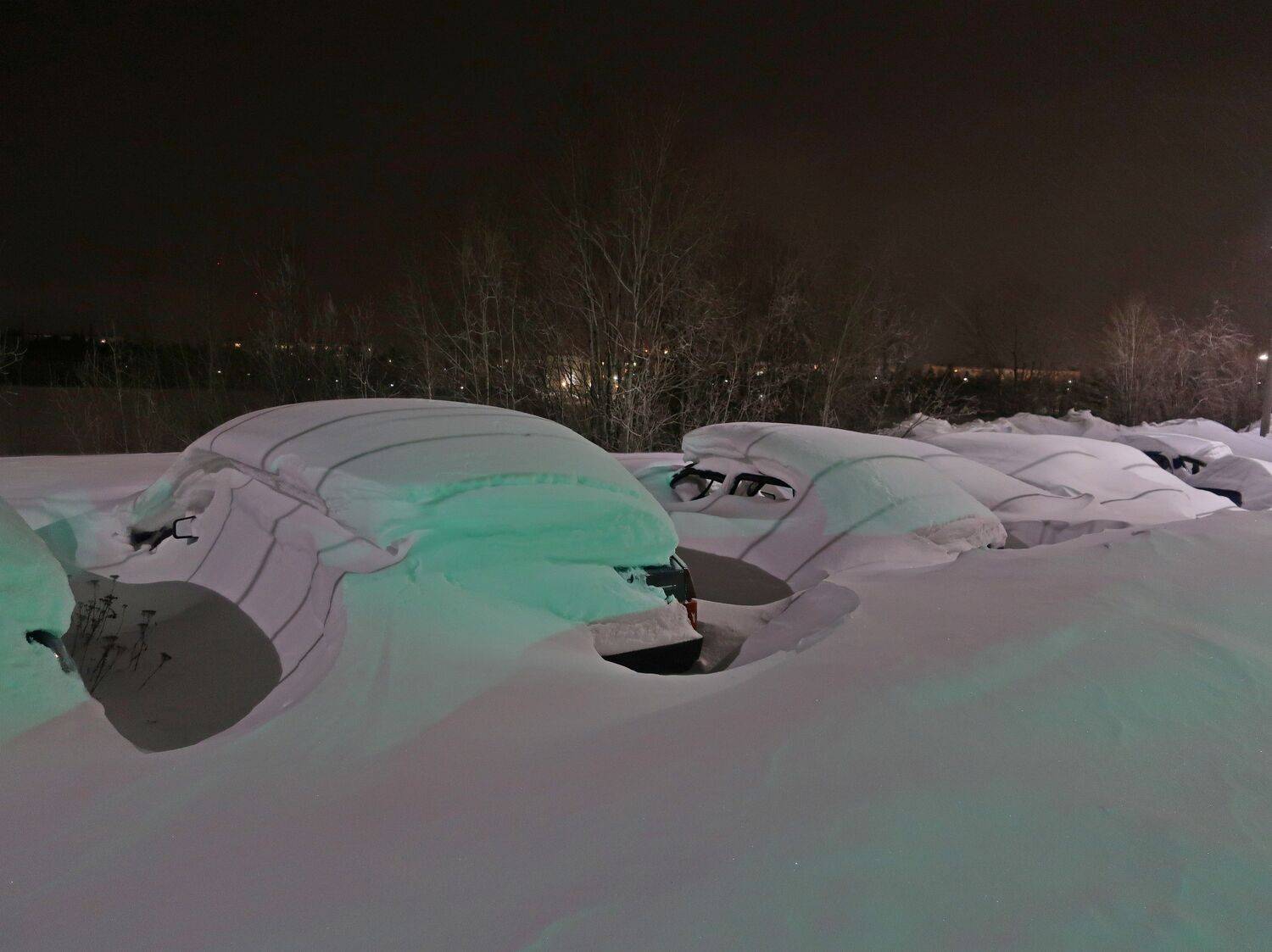 Photo #12340308