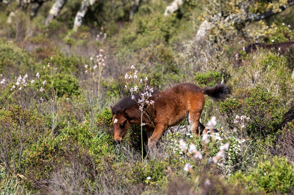 Photograph by Евгения Чех