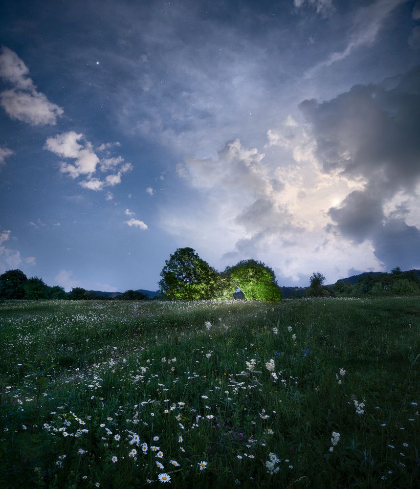 Photograph by Helen Vasilieva